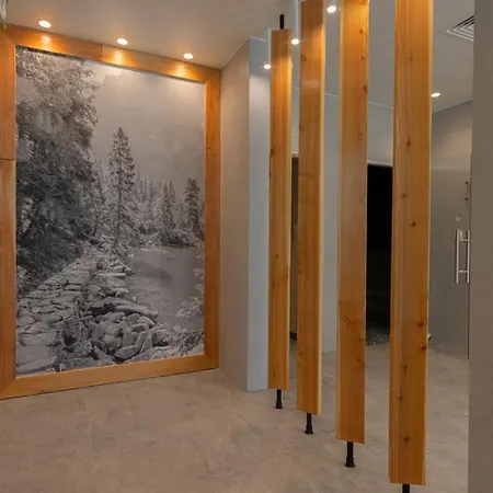 Vacationclub - Zakopianskie 309 דירה זקופאנה